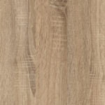 Cambrian Oak Sega